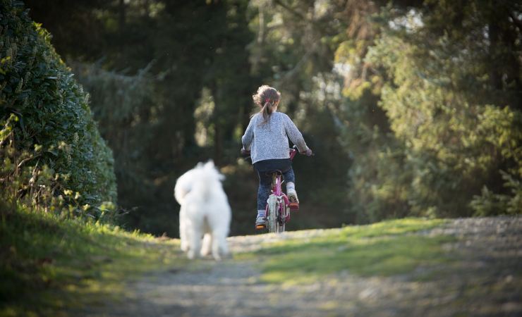 quando togliere le rotelle alla bici